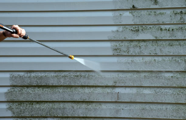 Best Fence Cleaning  in St Francis, MN